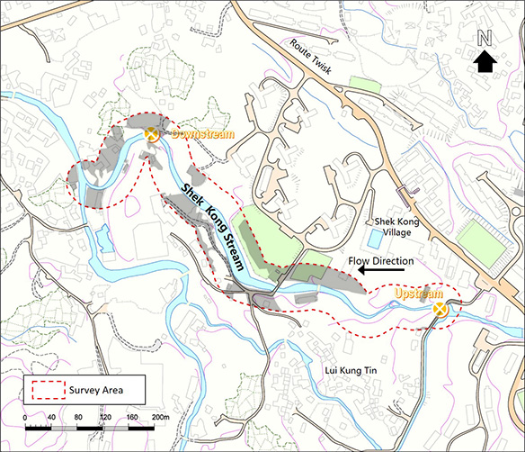 Developed Area