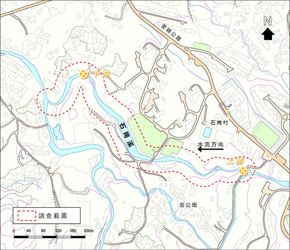 河道地圖