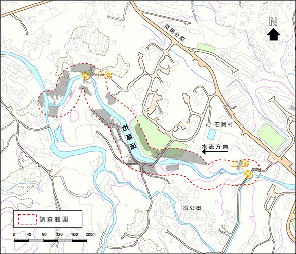 已發展地區