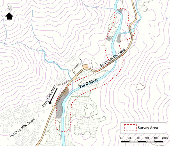Developed Area