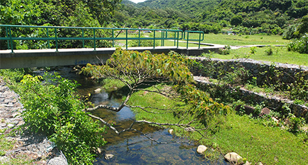 Pui O River