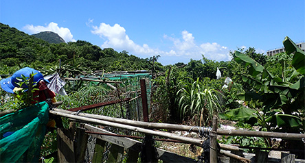 Pui O River