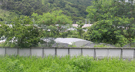 Ho Pui Channel