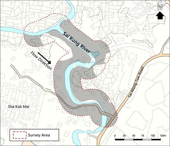 Developed Area