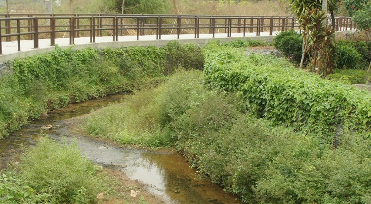 Ma Tso Lung Stream
