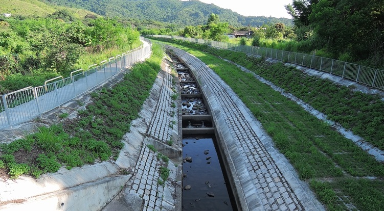Ping Kong Stream