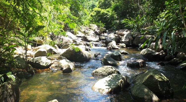 Pui O River
