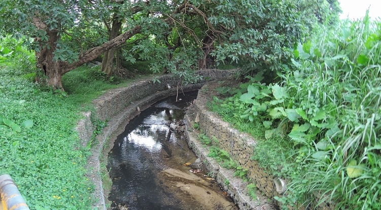 Ping Yuen River
