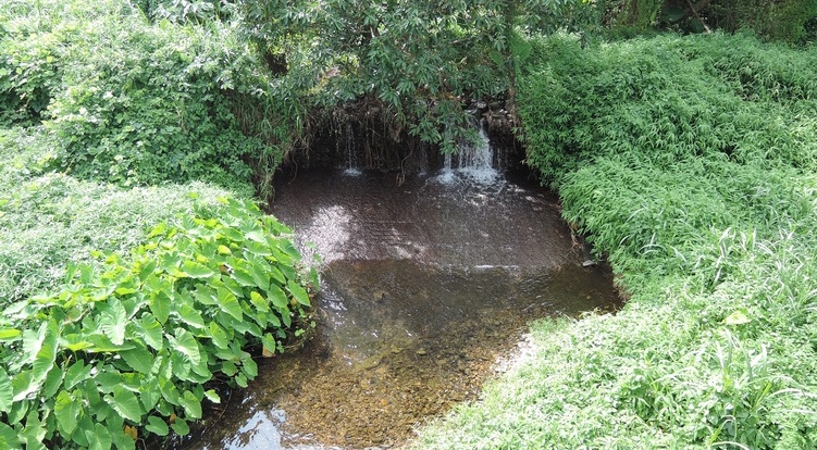 Shek Kong Stream