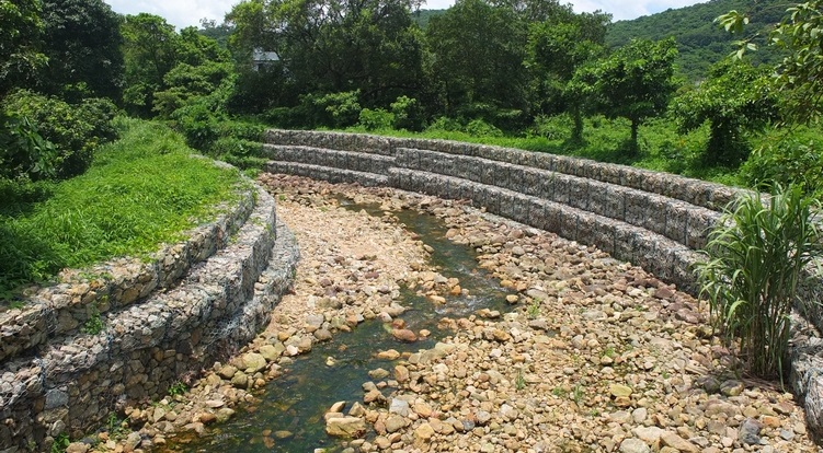 Tai Tei Tong Stream