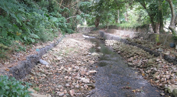 Deep Water Bay Stream