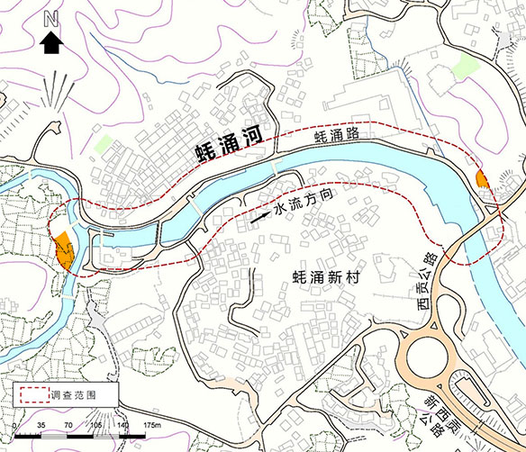 树林