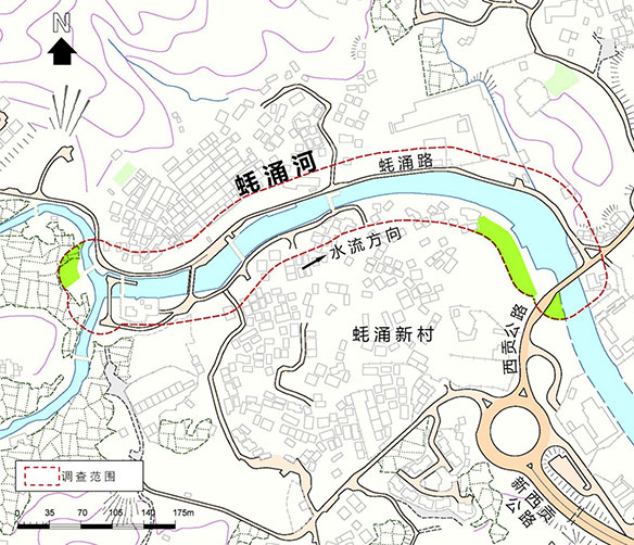 草地