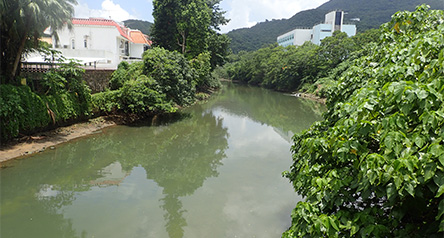 Ho Chung River Main