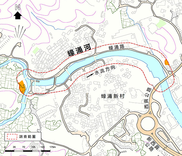 樹林