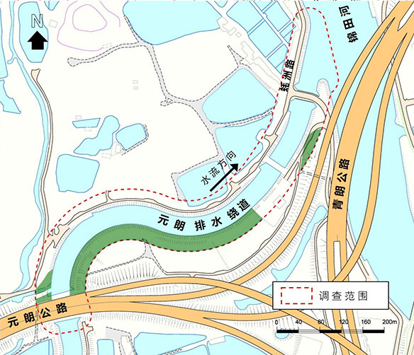 林木