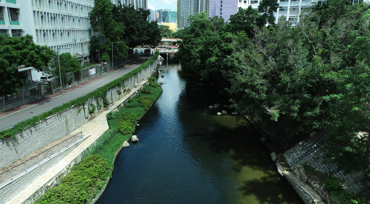 Kai Tak River