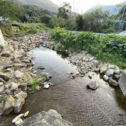 Landscape for Ho Chung River