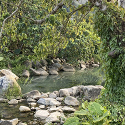 Landscape for Ho Chung River