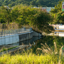 Landscape for Ho Chung River