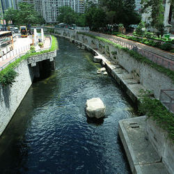 Upstream of Kai Tak River (near Morse Park No.1)