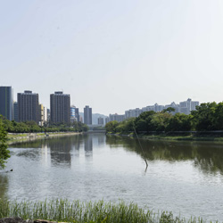 Landscape for Shan Pui River / Kam Tin River