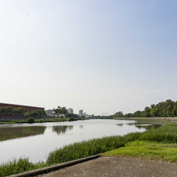 Landscape for Shan Pui River / Kam Tin River