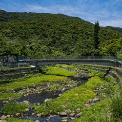 Landscape for Upper Lam Tsuen River