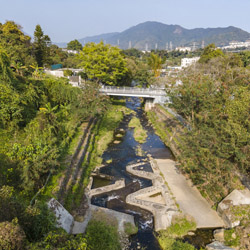 Landscape for Upper Lam Tsuen River