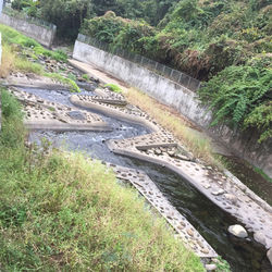 Landscape for Upper Lam Tsuen River