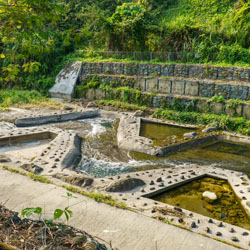 Landscape for Upper Lam Tsuen River