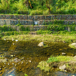 Landscape for Upper Lam Tsuen River