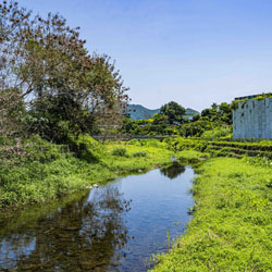Landscape for Upper Lam Tsuen River