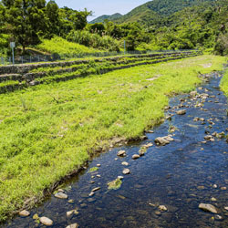 Landscape for Upper Lam Tsuen River