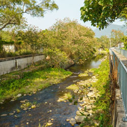 Landscape for Upper Lam Tsuen River