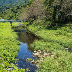 Landscape for Upper Lam Tsuen River