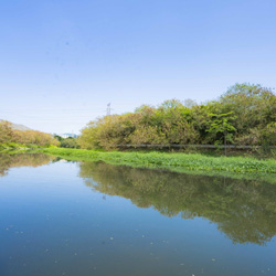 Landscape for Yuen Long Bypass Floodway
