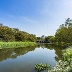 Landscape for Yuen Long Bypass Floodway