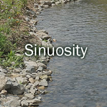 Sinuosity