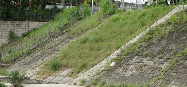 Eco-Friendly Embankment