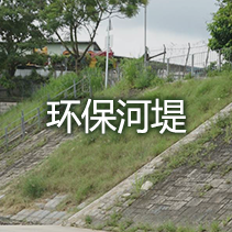 环保河堤