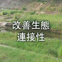 改善生態連接性