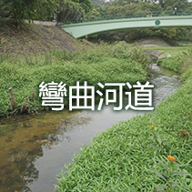 彎曲河道