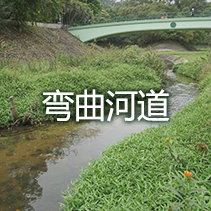 弯曲河道