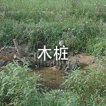 木桩