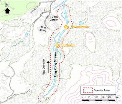 Map of the river