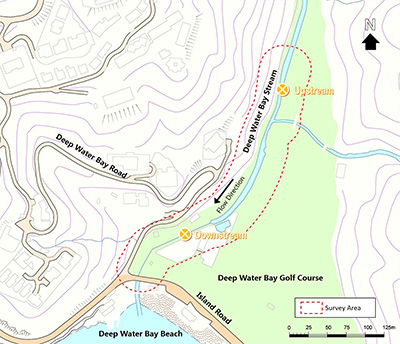 Map of the river
