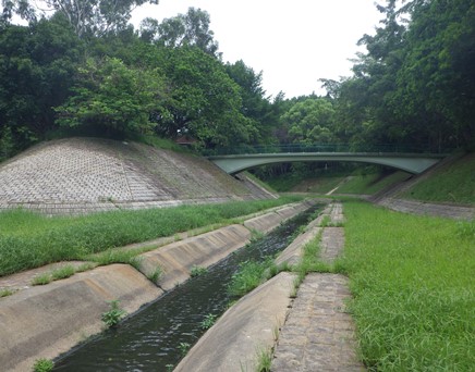 River upstream picture