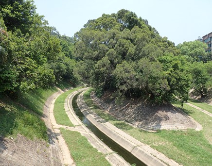 River downstream picture
