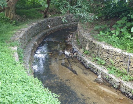 River upstream picture